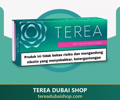 TEREA Black Green Indonesia pack, buy in Dubai UAE