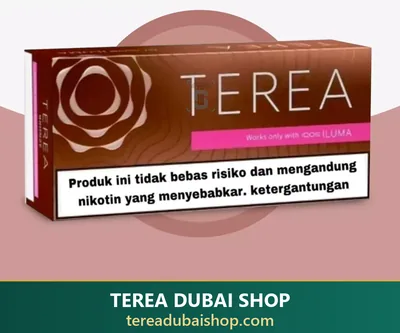 TEREA Bronze Indonesia pack, buy in Dubai UAE