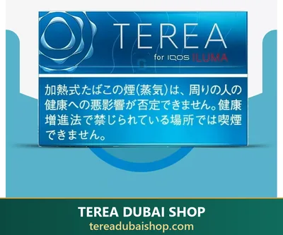 TEREA Rich Regular Japan pack, buy in Dubai UAE